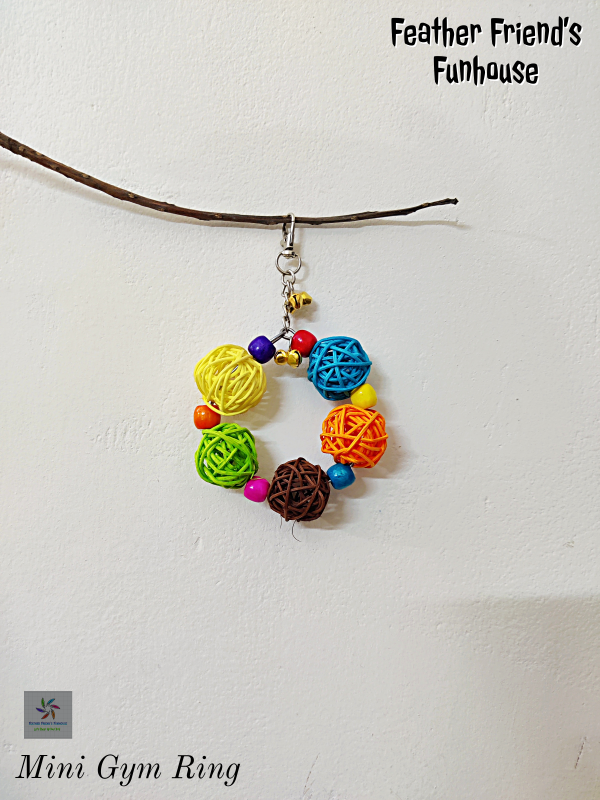 Mini Gym Ring