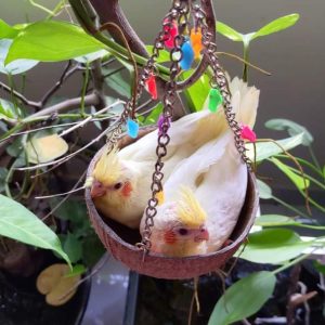 Hanging Toys