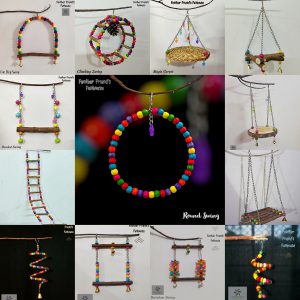 Swings, Boings and Ladders