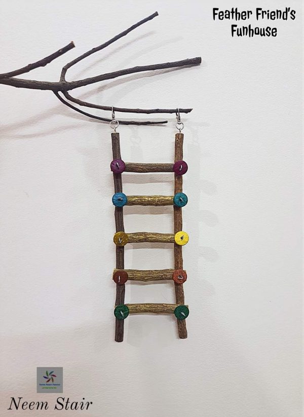 Neem Stair